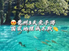 -贵州省博物馆(新馆)