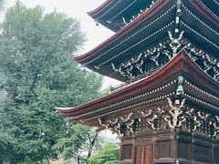 -医王山·飞騨国分寺