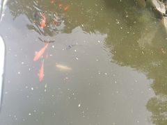 -南京东郊国宾馆