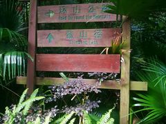 -火炉山森林公园