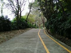 -中山公园(石岐街道)