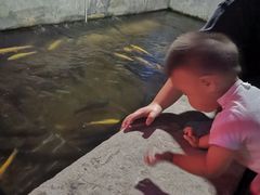 -北京龙庆四季香农家饭庄·灶台鱼·碳烤虹鳟鱼(龙庆峡店)