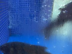 -香山湖渔家大院