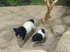-大连圣亚海洋世界