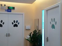 -芭比堂动物医院·24小时·眼科中心(深圳中心)