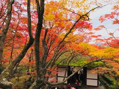 -常寂光寺