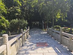 -广西壮族自治区药用植物园