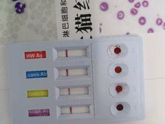 -宠颐生动物医院·全科·骨外科中心·利宠康分院