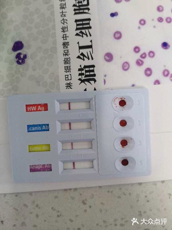 宠颐生动物医院·全科·骨外科中心·利宠康分院图片
