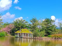 -中国科学院西双版纳热带植物园