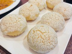 -欢乐海岸美食联盟