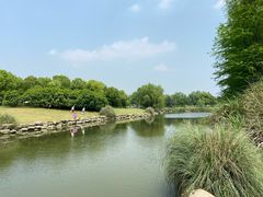 -九里河湿地公园