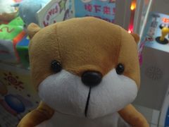 iphone_upload_pic-大玩家(大连高新万达店)