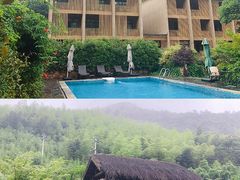 -看见远方·莫干遥远的山民宿