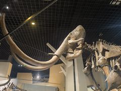 -国家自然博物馆