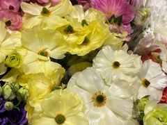 -朝来春花卉市场