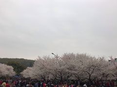 -曹祥泰(解放路店)