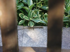 -菊花台公园