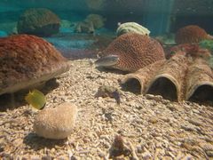 -北戴河圣蓝海洋公园