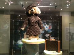 -济州岛泰迪熊博物馆