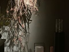 -安屿an·spa(卓悦中心商场店)