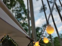 -桉树林A coffee 森林餐厅(三圣乡店)