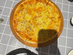 -百好乐宠物友好餐厅(朝外大街店)