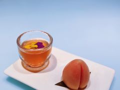 -青山研究所Aoyama Lab