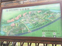 -田园东方蜜桃村的田野营地