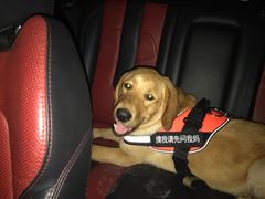 -马老三烧烤(金苑路店)