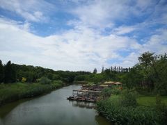 -上海长兴岛郊野公园