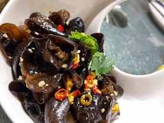 凉拌木耳-顺意·顺德家乡菜(国际人才大厦店)