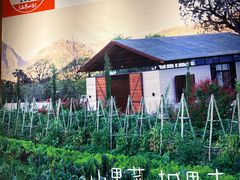 -衡地道·三菜一汤(水岸新城店)