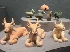 -广西壮族自治区博物馆