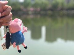 -木塔寺遗址生态公园