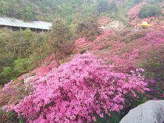 -木兰云雾山