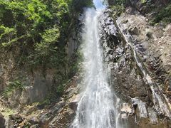 -姑婆山旅游区
