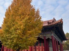 -大明幻境第一城