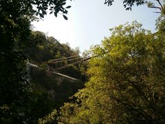 -九龙江国家森林公园