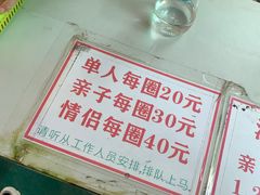 -百万葵园