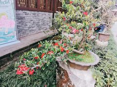 -成都杜甫草堂博物馆
