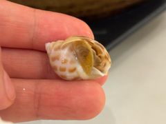 -神仙馆(衡山路店)