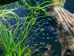 -上海海洋水族馆