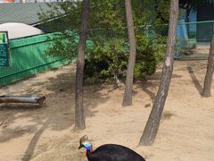 -西霞口神雕山野生动物世界