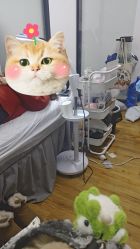 -尤米一站式美甲美睫