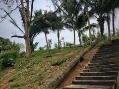 -蔡家宅