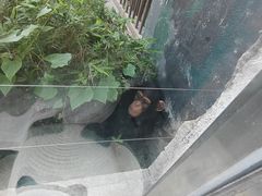 -成都动物园
