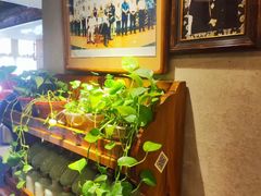 -七菜馆·东北菜·蒸饺(文体路店)