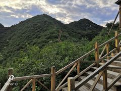 -大岭沟猕猴桃谷风景区