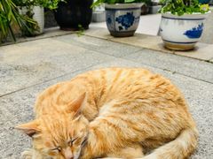 -福州开元寺